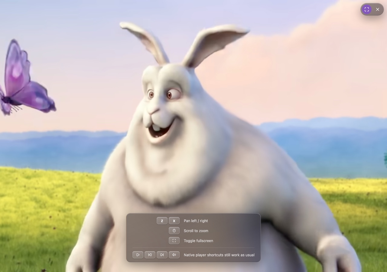 The video instantly fills the screen in a focused panel